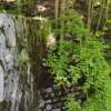 hrazeni_2025_16
