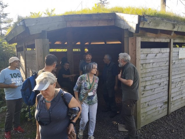 Lesnický workshop v Polsku