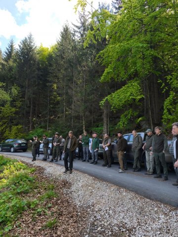 Hospodaření Arcibiskupských lesů a statků Olomouc v oblasti Rychlebských hor