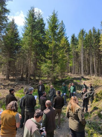 Hospodaření Arcibiskupských lesů a statků Olomouc v oblasti Rychlebských hor