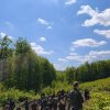 Hospodaření Arcibiskupských lesů a statků Olomouc v oblasti Rychlebských hor