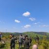 Hospodaření Arcibiskupských lesů a statků Olomouc v oblasti Rychlebských hor